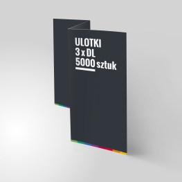 druk ulotek składanych 3xDL, promocja 5000 sztuk